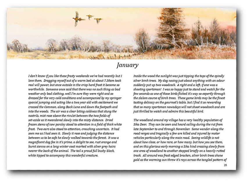 january extract from book